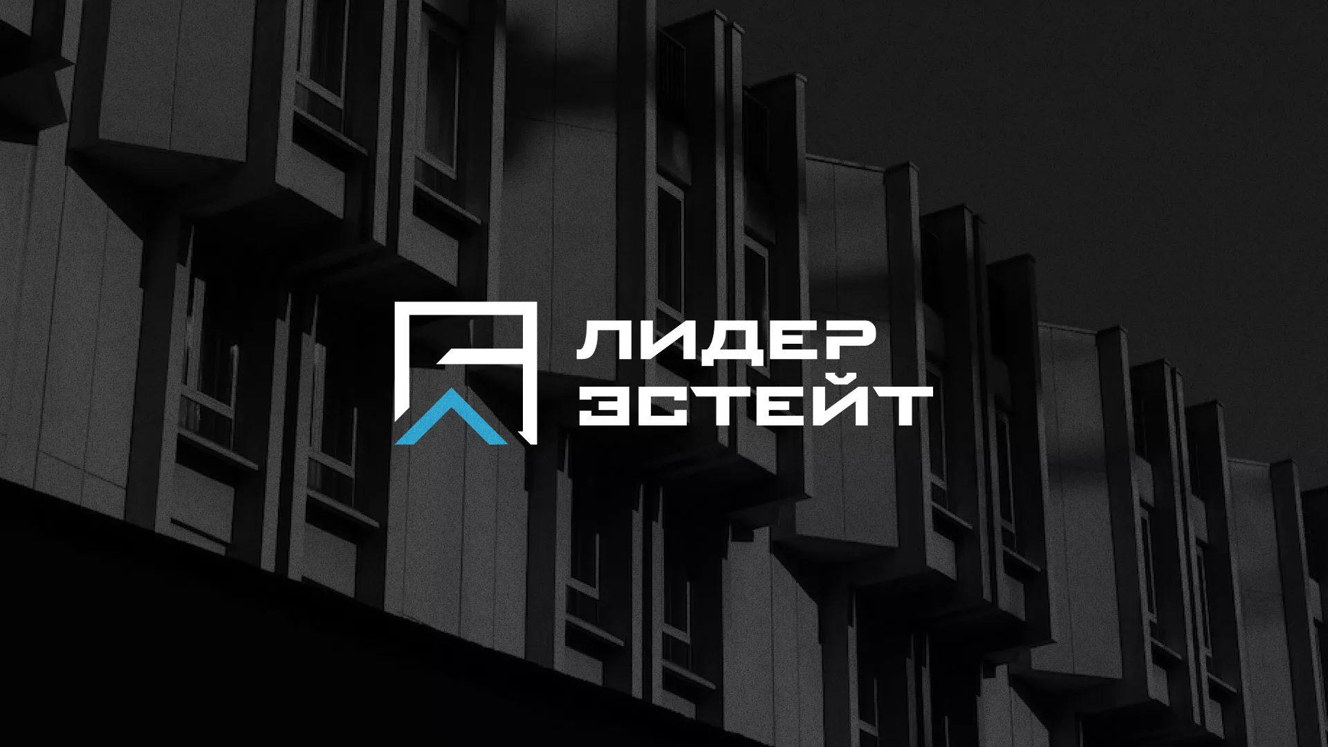 Разработка логотипа агентства недвижимости «Лидер Эстейт» в Семикаракорске
